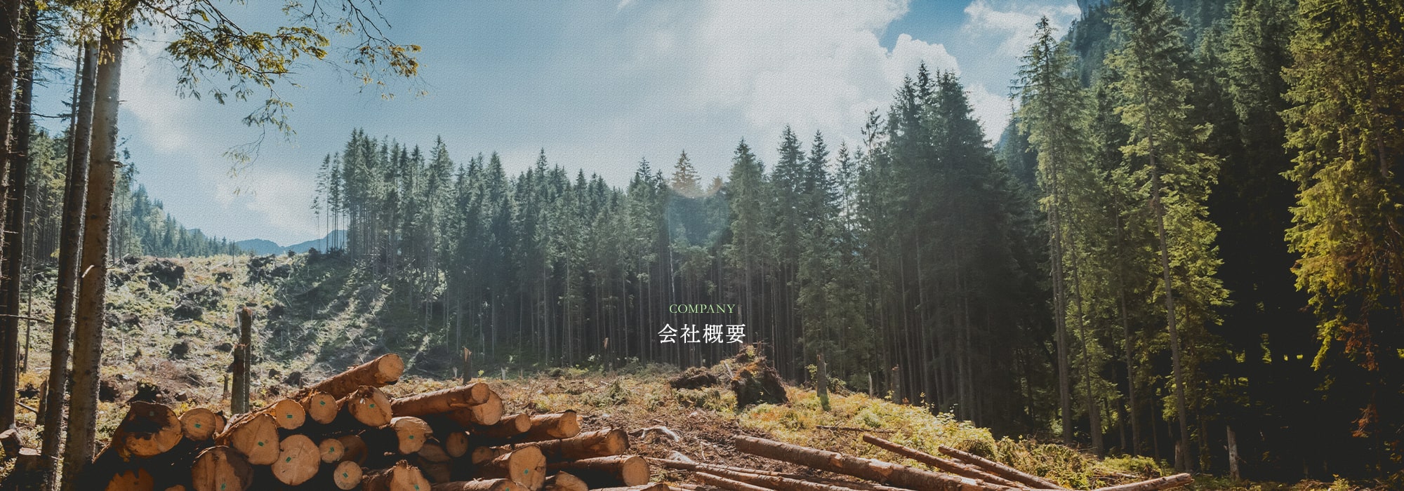 会社概要